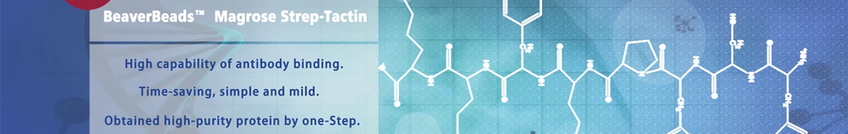 BEAVER Biomedical Engineering Co., Ltd.