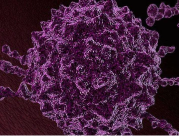 Research and development of a new bioinformatics method to effectively identify the body's own tumors