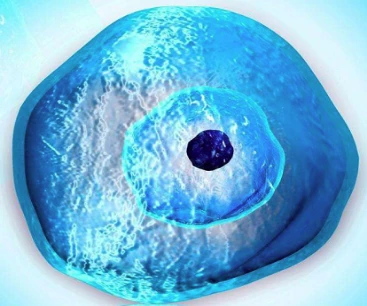 Research and development of a new technology to track jump gene movement