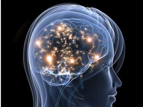 Stem cells have a good effect on epilepsy