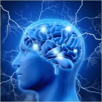 Studies have found that IRB2BPL mutations can cause disorders of nervous system function