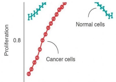 Studies have found that lowering the pH of cells identifies therapeutic targets that effectively attack cancer cells