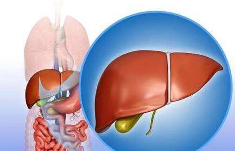 Study found that WISP1 protein and protein/mRNA expression are inconsistent and affect the progression of hepatocellular carcinoma