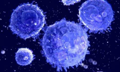 The study found that insulin can enhance the body's immune system function to help protect against body infections