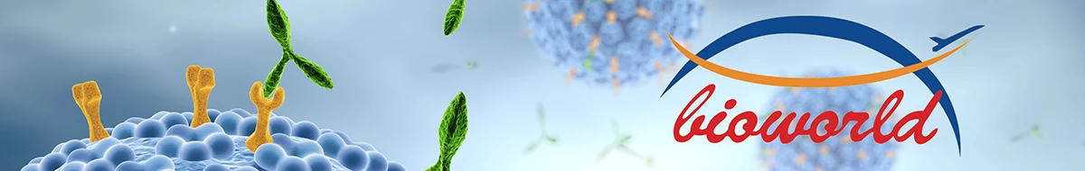 Bioworld Technology, Inc