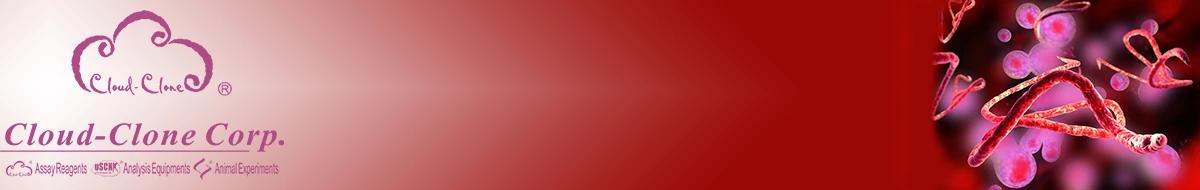 Cloud-Clone CORP.