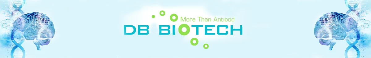 DB Biotech Inc.