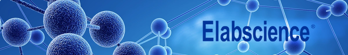 Elabscience Biotechnology Inc.