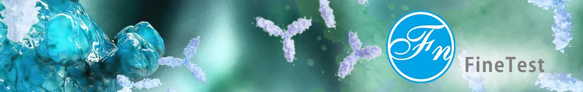 Wuhan Fine Biotech Co., Ltd