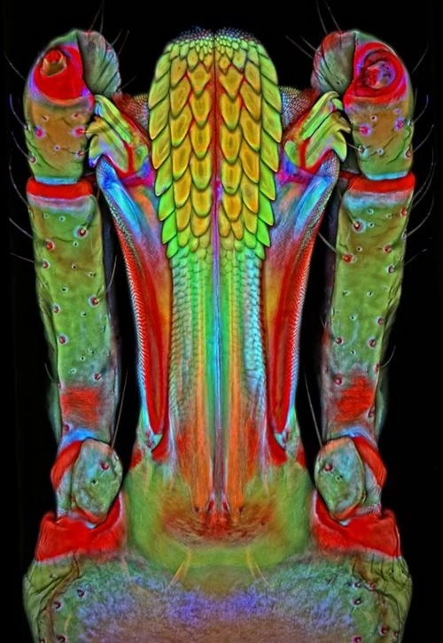 Science to the rescue: Eye-popping images waiting to dazzle weary travellers