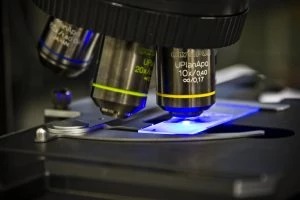 7 Resources for Free Science Pictures