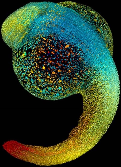 Science to the rescue: Eye-popping images waiting to dazzle weary travellers